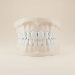 Smile Design